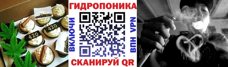 Canna-Cookies марихуана  Новодвинск 