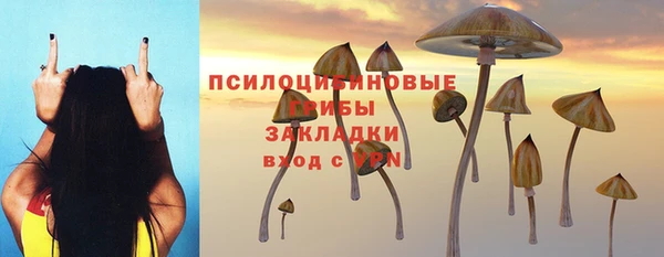 стафф Армянск