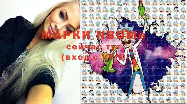 шишки Алзамай