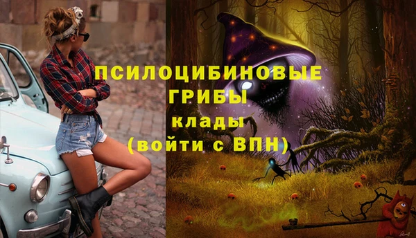 стафф Армянск
