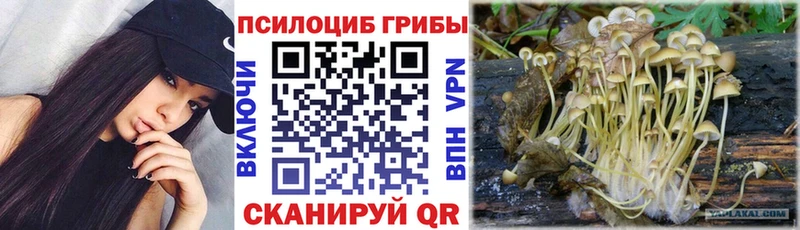 Галлюциногенные грибы мухоморы  Новодвинск 
