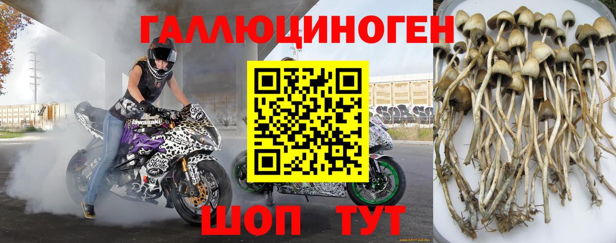 Галлюциногенные грибы ЛСД  Вход с VPN  Новодвинск 