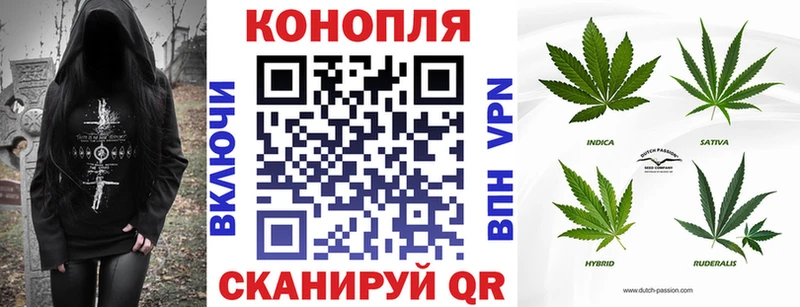 Каннабис сатива  Новодвинск 