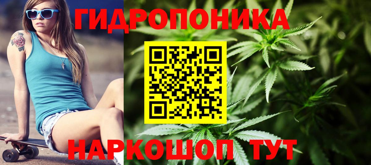 Новодвинск  Бошки марихуана Amnesia  Вход с VPN  Шишки марихуана Ganja  Шишки марихуана LSD WEED 